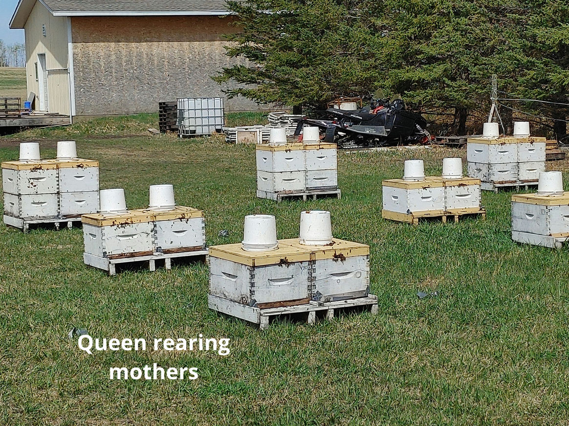 2021 Season photo 10